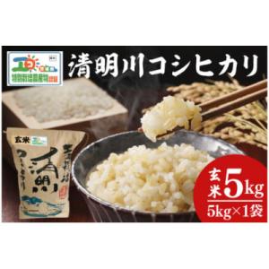 ふるさと納税 阿見町 令和7年産 茨城県特別栽培認証 清明川コシヒカリ玄米 5kg(04-19)
