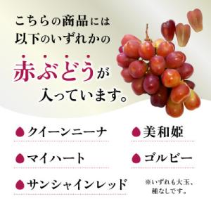 ふるさと納税 笛吹市 【2026年発送】 シャ...の詳細画像1