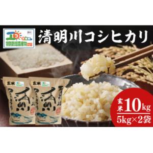 ふるさと納税 阿見町 令和7年産 清明川コシヒカリ玄米5kg×2袋(04-20)
