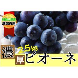 ふるさと納税 かつらぎ町 種なしピオーネ<ぶどう約2.5kg>★2026年8月中旬〜9月下旬頃発送予定★