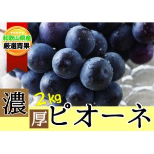 ふるさと納税 かつらぎ町 【甘さとみずみずしさが自慢】種なしピオーネ<ぶどう約2kg>★2026年8月下旬〜9月下旬頃発送予定