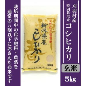 ふるさと納税 刈羽村 【新潟特別栽培米】【玄米】刈羽村産コシヒカリ 5kg