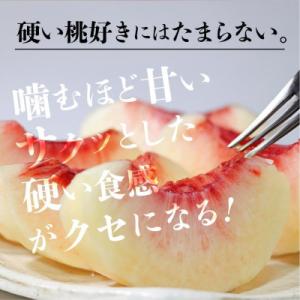 ふるさと納税 高山市 【晩生の硬い桃】訳あり桃...の詳細画像2