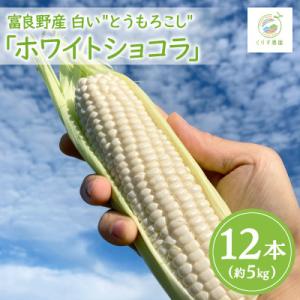 ふるさと納税 富良野市 【2026年発送】北海道富良野産白いとうもろこし「ホワイトショコラ」12本(約5kg)