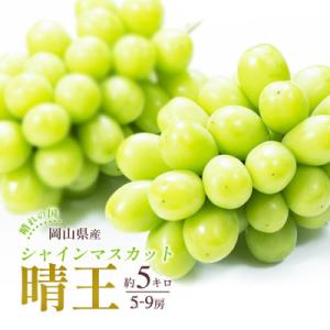 ふるさと納税 浅口市 2026年発送 岡山産 シャインマスカット 晴王 5〜9房入り 合計約5kg 大粒 種無し