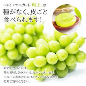 ふるさと納税 浅口市 2026年発送 岡山産 ...の詳細画像3