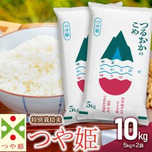 ふるさと納税 鶴岡市 山形県庄内産 令和7年産 特別栽培米 つや姫 精米 計10kg(5kg×2袋)