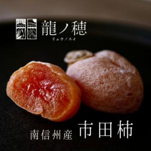 ふるさと納税 飯田市 【2026年分先行受付】南信州産　市田柿600g