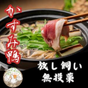 ふるさと納税 かすみがうら市 鴨鍋の素2人前  鴨スープ500gと鴨モモ肉1羽分(400〜450g)...