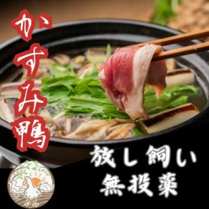 ふるさと納税 かすみがうら市 鴨鍋の素4人前  鴨スープ1kgと鴨モモ肉2羽分(計800〜900g)...