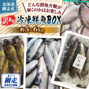 ふるさと納税 網走市 【訳あり】網走産冷凍鮮魚BOX〜未利用魚の有効活用(漁業生産者応援企画)