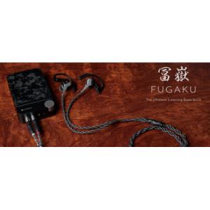 ふるさと納税 玉村町 FUGAKU　冨嶽