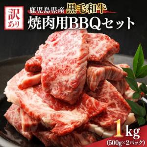 ふるさと納税 鹿屋市 訳あり 鹿児島県産 黒毛和牛 焼肉用 BBQセット 計1,000g 2617K...