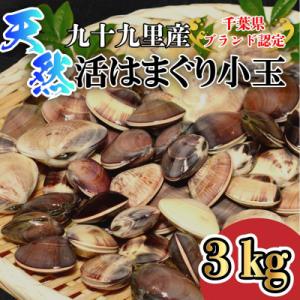 ふるさと納税 山武市 天然活はまぐり小玉【ぜんな】3kg|千葉県九十九里産