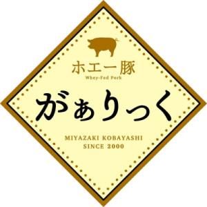 ふるさと納税 小林市 【訳あり】宮崎県産ホエー...の詳細画像3