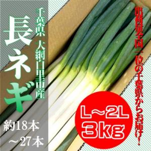 ふるさと納税 大網白里市 千葉県大網白里市産 長ネギ L〜2Lサイズ 3kg(約18本〜27本)【令...