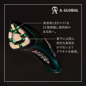 ふるさと納税 羽島市 VzusaII(Roya...の詳細画像3