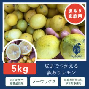 ふるさと納税 松山市 訳ありレモン瀬戸内愛媛県産 5kg