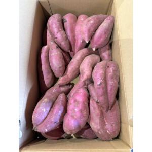 ふるさと納税 行方市 【訳あり】「行方かんしょ」さつまいも約10kg(約5kg箱×2箱)・C品(洗い・不揃い)