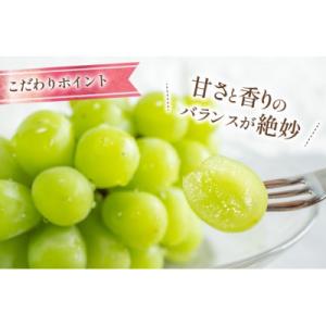 ふるさと納税 韮崎市 朝採れ シャインマスカッ...の詳細画像1