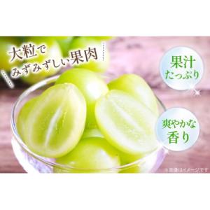 ふるさと納税 韮崎市 朝採れ シャインマスカッ...の詳細画像2