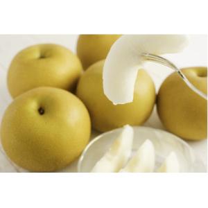 ふるさと納税 加茂市 【2026年先行予約】新潟県産 厳選 幸水梨 3kg(7〜9玉)《8月上旬以降発送》