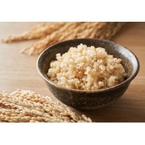 ふるさと納税 西脇市 兵庫県産　令和7年産 【コシヒカリ 玄米 20kg】(10kg×2袋)