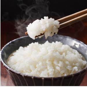 ふるさと納税 西脇市 兵庫県産　令和7年産 【コシヒカリ 白米 20kg】(10kg×2袋)