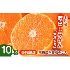 ふるさと納税 和泉市 四季盛農園の本貯蔵 蔵出しみかん10Kg　【1月中旬頃から順次発送】