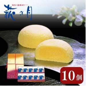 ふるさと納税 大河原町 萩の月 10個入り[53752013]