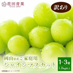 ふるさと納税 浅口市 【花田青果】先行受付　ご家庭用シャインマスカット 1〜3房(1.2kg以上)　訳あり