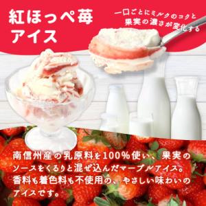 ふるさと納税 根羽村 生ソフトクリームアイス&...の詳細画像2