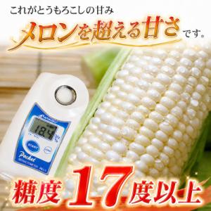 ふるさと納税 旭川市 2026年先行受付【高糖...の詳細画像1