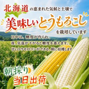 ふるさと納税 旭川市 2026年先行受付【高糖...の詳細画像2
