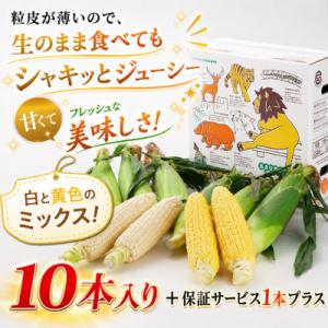 ふるさと納税 旭川市 2026年先行受付【高糖...の詳細画像3