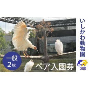 ふるさと納税 能美市 いしかわ動物園ペア入園券(一般)