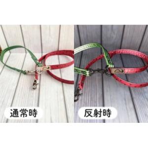ふるさと納税 阿見町 【小型犬用10kgまで】...の詳細画像1