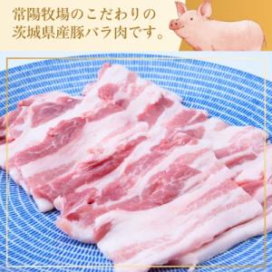 ふるさと納税 龍ケ崎市 こだわりの茨城県産 豚...の詳細画像1