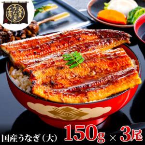 ふるさと納税 島田市 大五のうなぎ蒲焼 450g...の商品画像