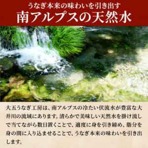 ふるさと納税 島田市 大五のうなぎ蒲焼 450...の詳細画像2