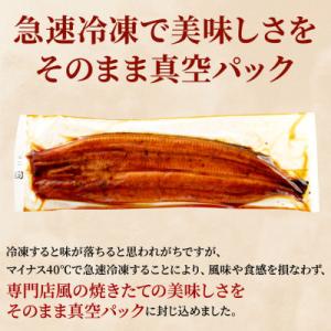 ふるさと納税 島田市 大五のうなぎ蒲焼 450...の詳細画像3