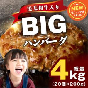 ふるさと納税 泉佐野市 黒毛和牛入り BIGハンバーグ 200g×20個 CFX0024