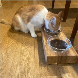 ふるさと納税 福岡市 ペットフードテーブル h...の詳細画像3