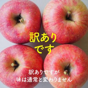ふるさと納税 豊丘村 【丘の上ファーム】りんご...の詳細画像2