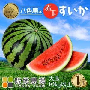 ふるさと納税 南魚沼市 【先行受付】 八色原産 赤玉すいか 大玉 10kg以上 1玉 新潟県 南魚沼市