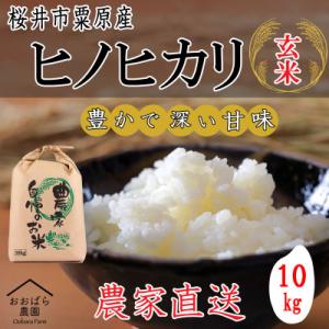 ふるさと納税 桜井市 【玄米】令和7年度産 桜井市粟原産ヒノヒカリ 10kg×1袋