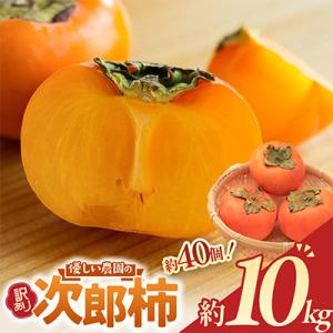 ふるさと納税 多気町 [令和8年度先行予約]優しい農園の次郎柿　10kg　家庭用｜Yahoo!ふるさと納税