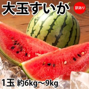 ふるさと納税 益城町 訳あり大玉すいか 1玉(約6kg〜9kg)【2027年5月下旬より順次発送予定】(益城町)