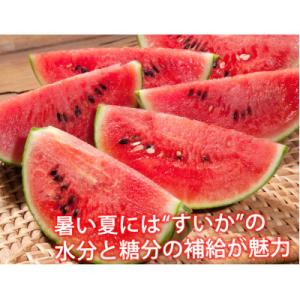 ふるさと納税 益城町 訳あり大玉すいか 1玉(...の詳細画像2
