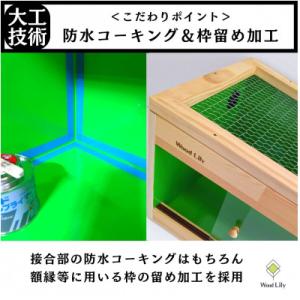 ふるさと納税 甲賀市 【強固な爬虫類ケージ】塗...の詳細画像3